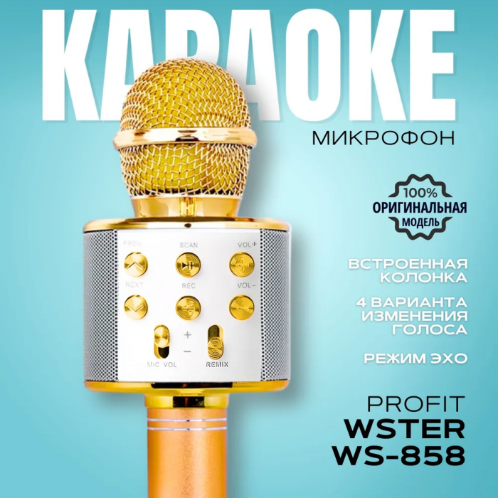 Микрофон-караоке ZEBRA; беспроводной, с динамиком
