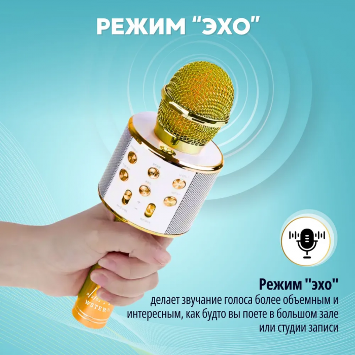 Микрофон-караоке ZEBRA; беспроводной, с динамиком