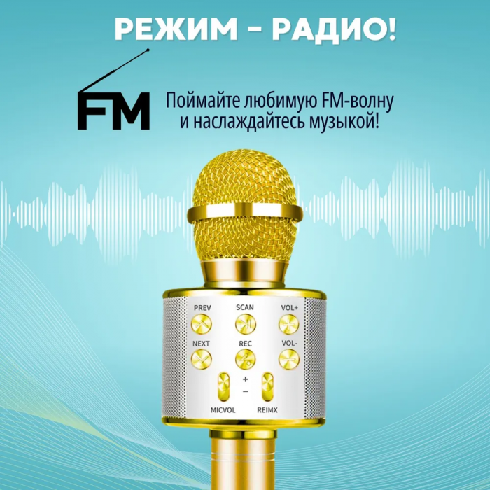 Микрофон-караоке ZEBRA; беспроводной, с динамиком