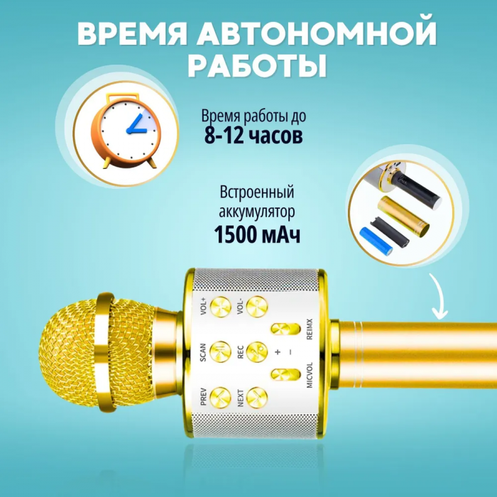 Микрофон-караоке ZEBRA; беспроводной, с динамиком
