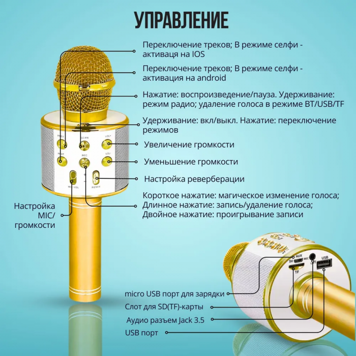 Микрофон-караоке ZEBRA; беспроводной, с динамиком