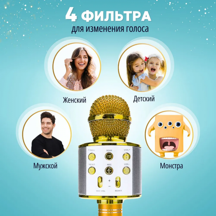 Микрофон-караоке ZEBRA; беспроводной, с динамиком
