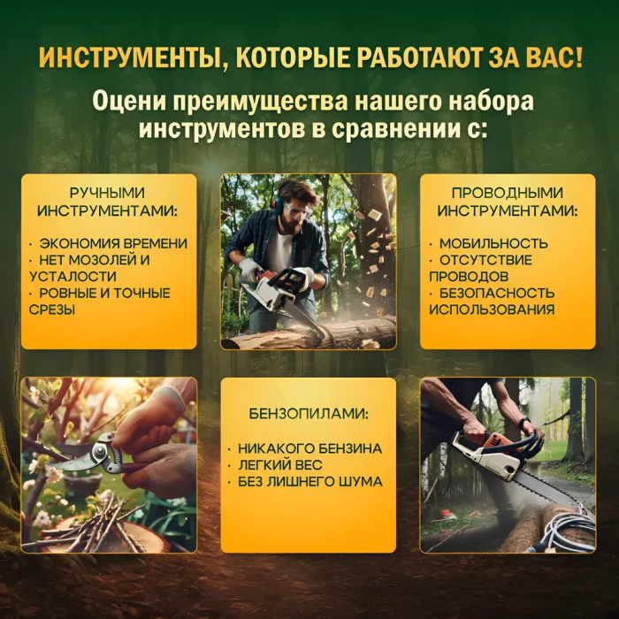 Набор электроинструментов 2в1 ZEBRA; пила, секатор, 2 АКБ