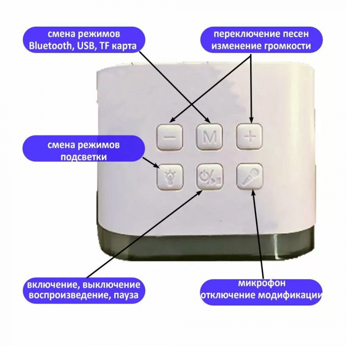 Boxă wireless Bluetooth cu 2 microfoane și iluminare, mod karaoke