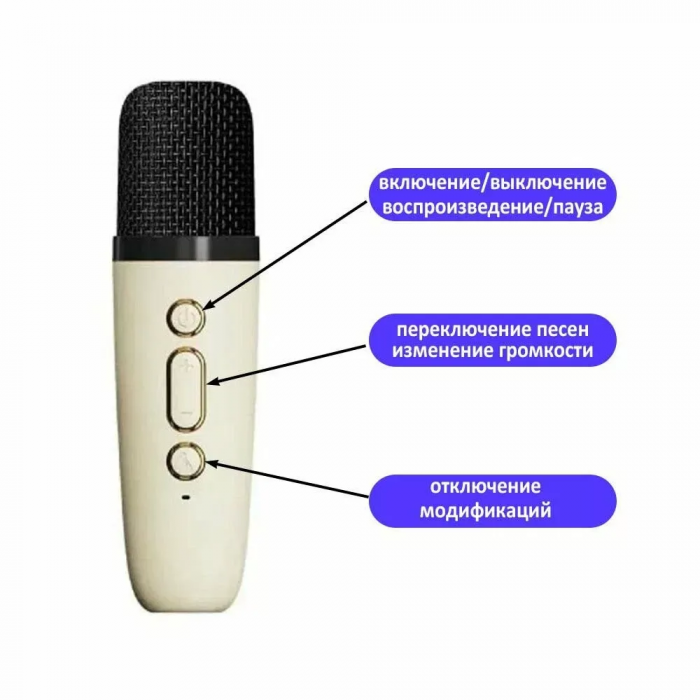 Boxă wireless Bluetooth cu 2 microfoane și iluminare, mod karaoke