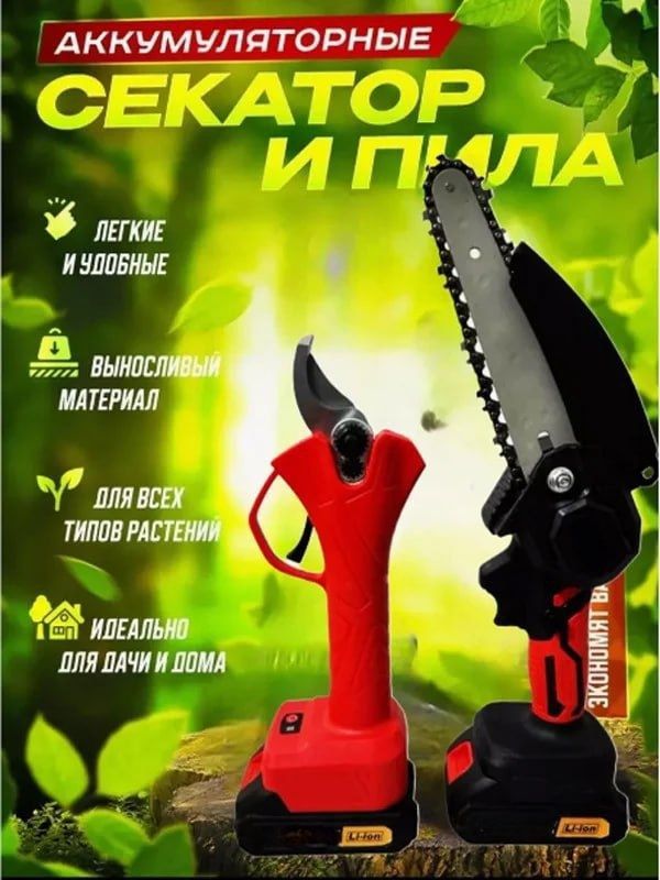Набор электроинструментов 2в1 ZEBRA; пила, секатор, аккумуляторный, 2 АКБ